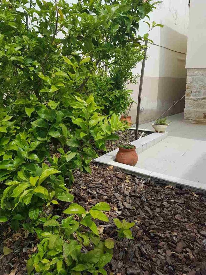 Mangoseaview Home1 Nea Roda Exterior foto
